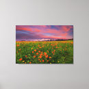 Search for snowcapped canvas prints Nature