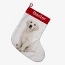 Recherche de pet christmas stockings Animal de compagnie