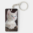 Search for beautiful eyes keychains Kitty