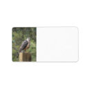 Search for hawk return address labels Wildlife