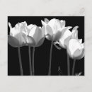 Search for b 4x5 invitations Floral