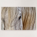 Recherche de poney blanc puzzles Animal