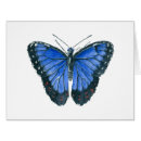 Recherche de papillon tropical vœux cartes Ailes