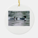 Search for loon ornaments Birds