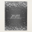 Search for glitter planners Brushed metal