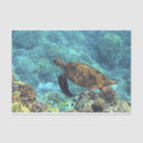 Search for sea turtle tissue paper Marine