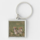 Search for mara keychains Wildlife