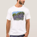Search for lavender flower tshirts Agriculture