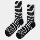 Search for zebra pattern photography Wildlife