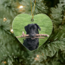 Search for unique pet memorials Dog photo