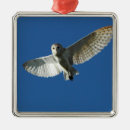 Search for flight ornaments Flying
