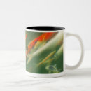 Recherche de poissons de carpe tasses Horizontal