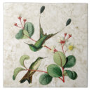 Recherche de de colibris carreaux Pour elle