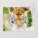 Recherche de visage tigre cartes postales Sauvage