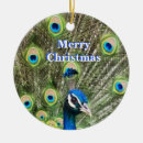 Search for blue bird ornaments Animal
