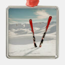 Search for skiing ornaments Outdoors