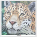 Search for big cat fur stickers Animal