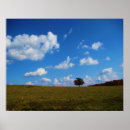 Search for blue skies posters Field