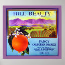 Search for vintage fruit crate labels posters Advertisement