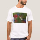 Search for ruby throated tshirts Flight