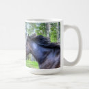Recherche de percherons tasses Portrait cheval