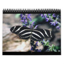 Search for cheetah calendars Nature