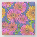 Search for gerbera barware Pink
