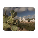 Search for san xavier del bac mission Landscape