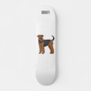 Search for dog skateboards Pet
