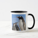 Search for gentoo mugs Antarctic