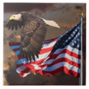 Recherche de patriotisme carreaux États unis