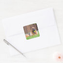 Search for german shepherd puppy stickers Outdoors