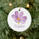 Search for cosmos ornaments Botanical