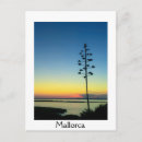 Recherche de agaves cartes postales Nature