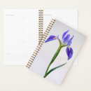 Search for iris office supplies Plant