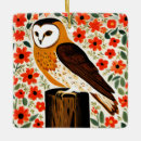 Search for barn owl ornaments Wildlife