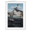 Recherche de marsouin cartes postales Lanterne