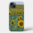 Search for sunflowers ipad cases France