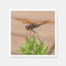 Recherche de dragonfly napkins Parti