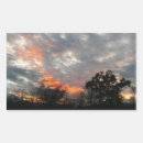Search for pink trees rectangle stickers Nature