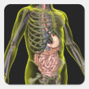 Search for human body part stickers Small business