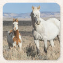 Search for horse coasters Mare