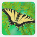 Search for tiger swallowtail butterfly stickers Yellow