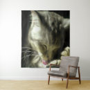 Search for grey tabby cat art Kitty