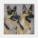 Search for k9 magnets Dog