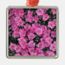 Recherche de flowers ornements Pour tous