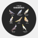 Search for cockatiels stickers Funny