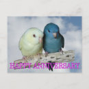 Recherche de perruche bleue cartes postales Pour tous