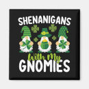 Search for gnomie magnets Clover