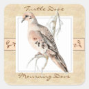 Search for turtle dove stickers Bird